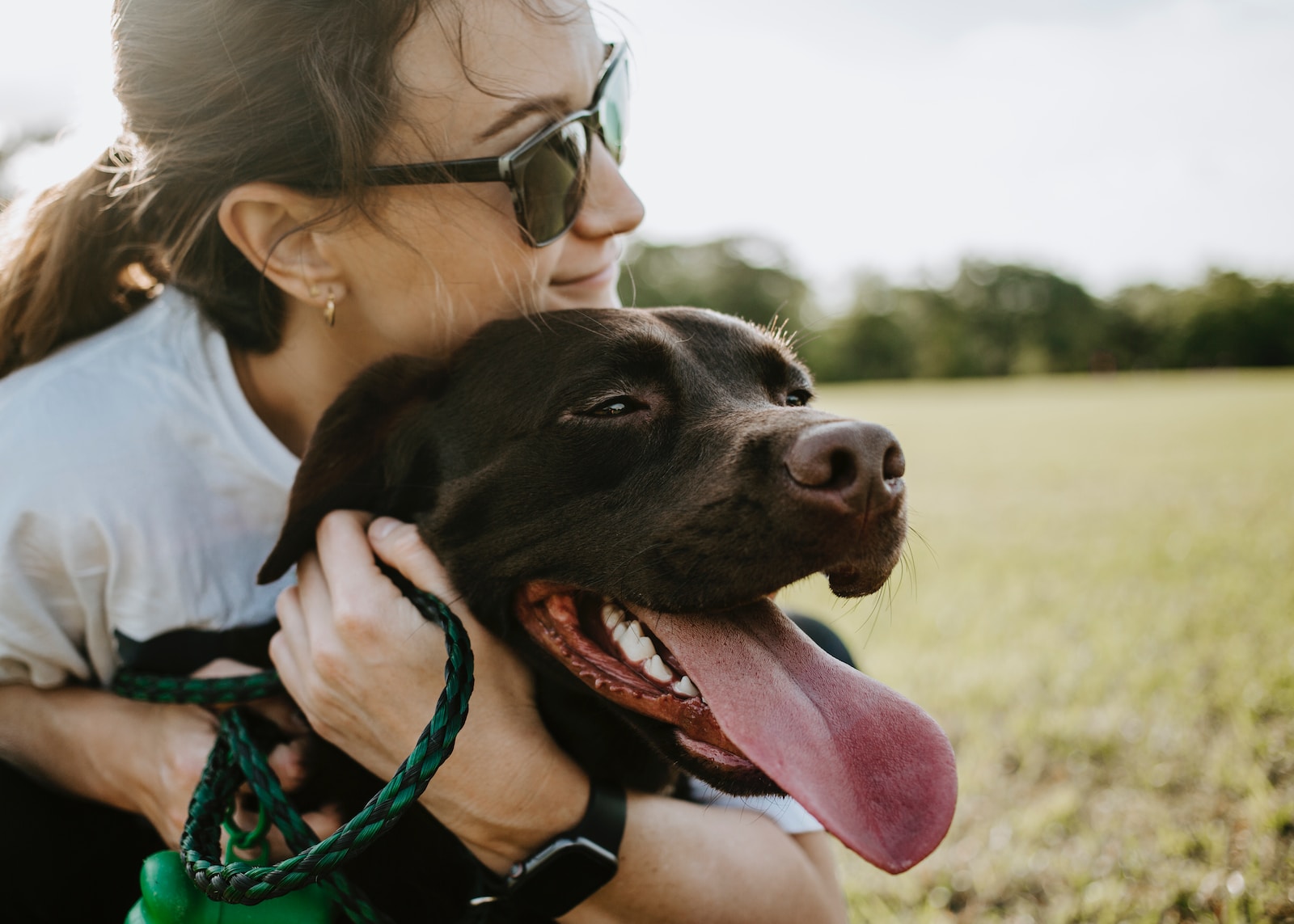 Therapy Tails: How Pets Are Revolutionizing Mental Health Treatment